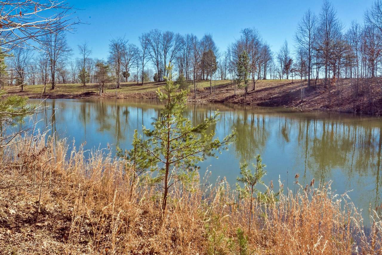 https://bt-photos.global.ssl.fastly.net/chattanooga/1280_boomver_1_1334110-2.jpg