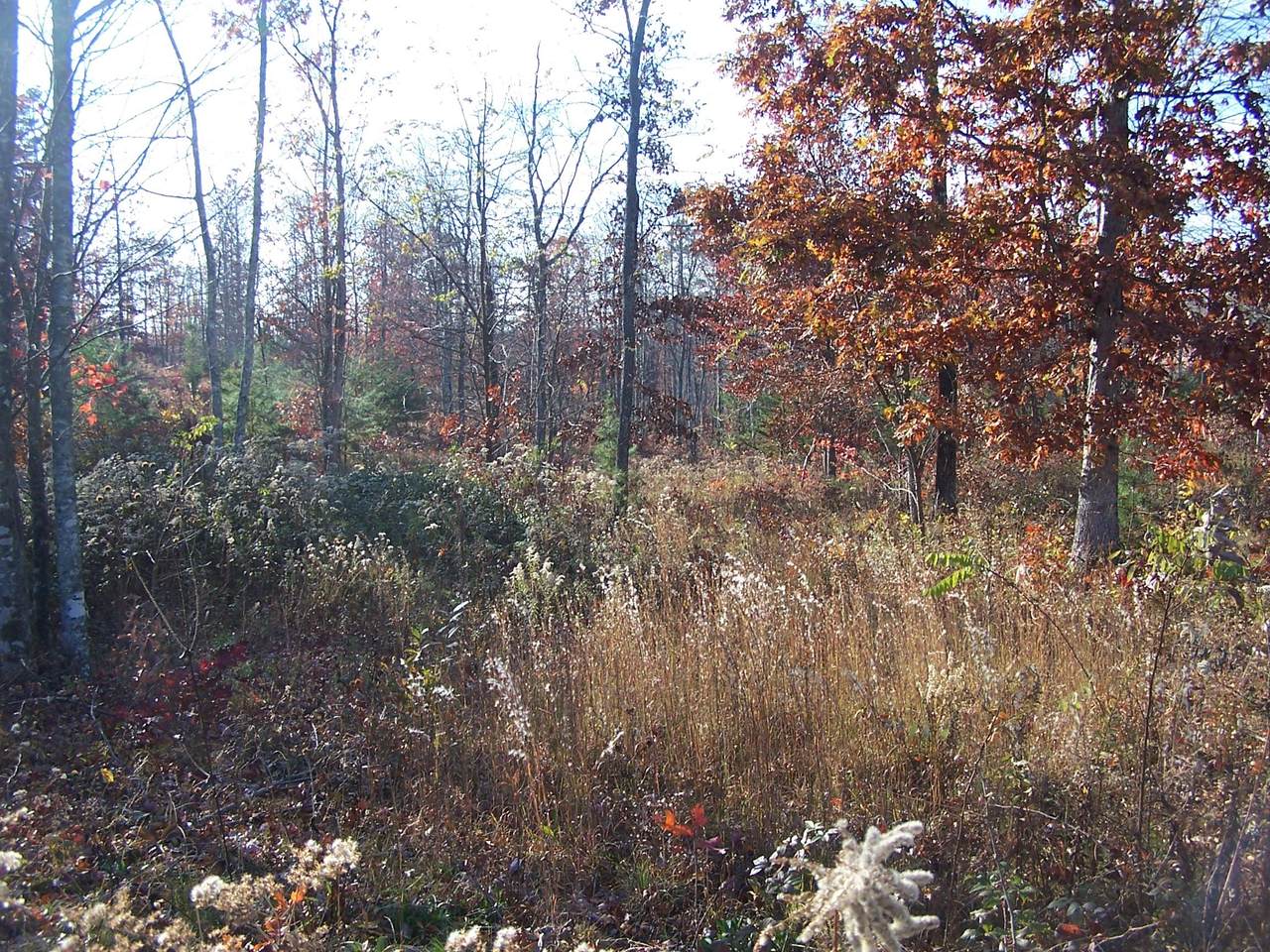 1538 Greenfields Rd - Photo 1