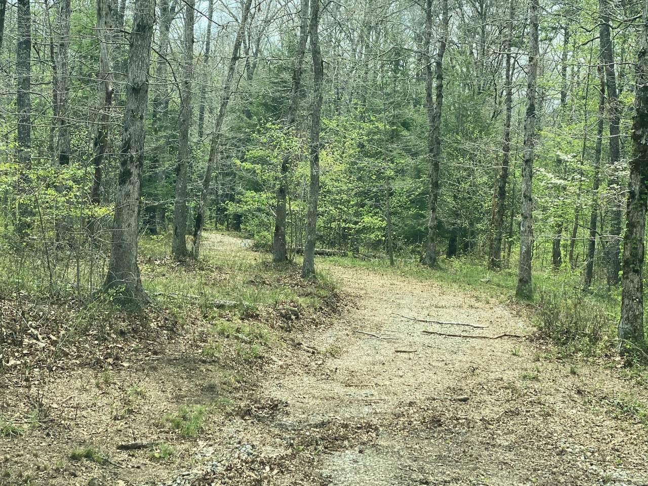 625 Gizzard Creek Road - Photo 1