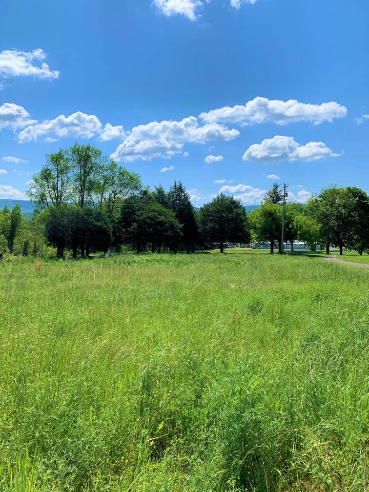 Lot#32 Old York Hwy - Photo 1
