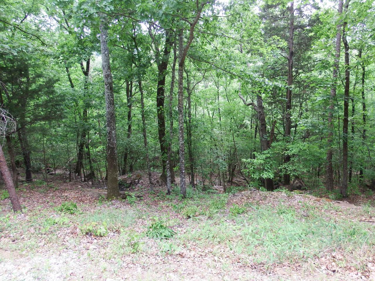 00 Bluffs Rd S, 24, 25, 26, 27 - Photo 1