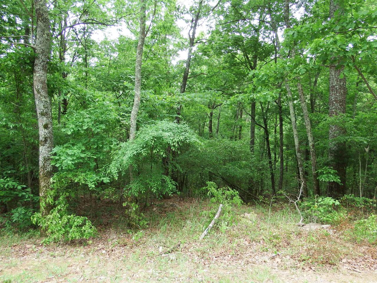 24 Bluffs Rd S - Photo 1