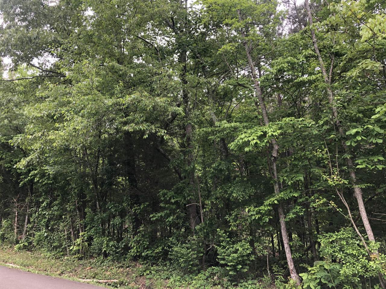 https://bt-photos.global.ssl.fastly.net/chattanooga/1280_boomver_1_1335819-2.jpg