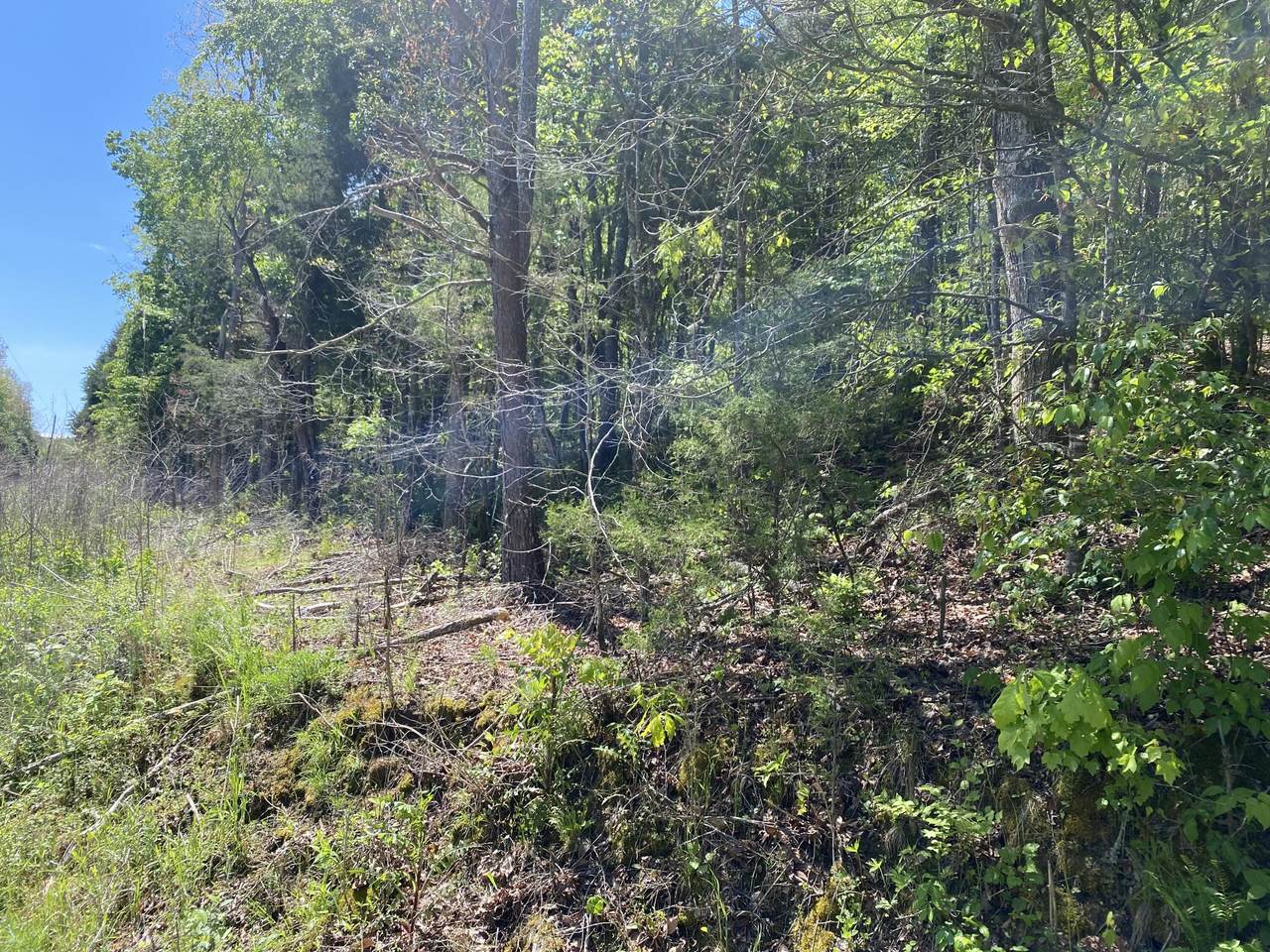 Lot 3 Womac Hollow Road - Photo 1