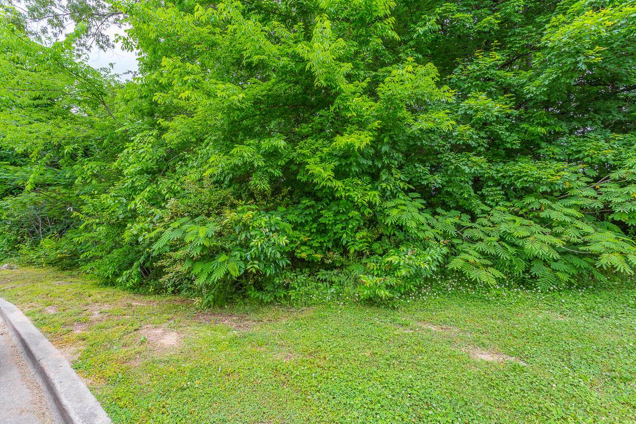 0 Talladega Ave - Photo 1
