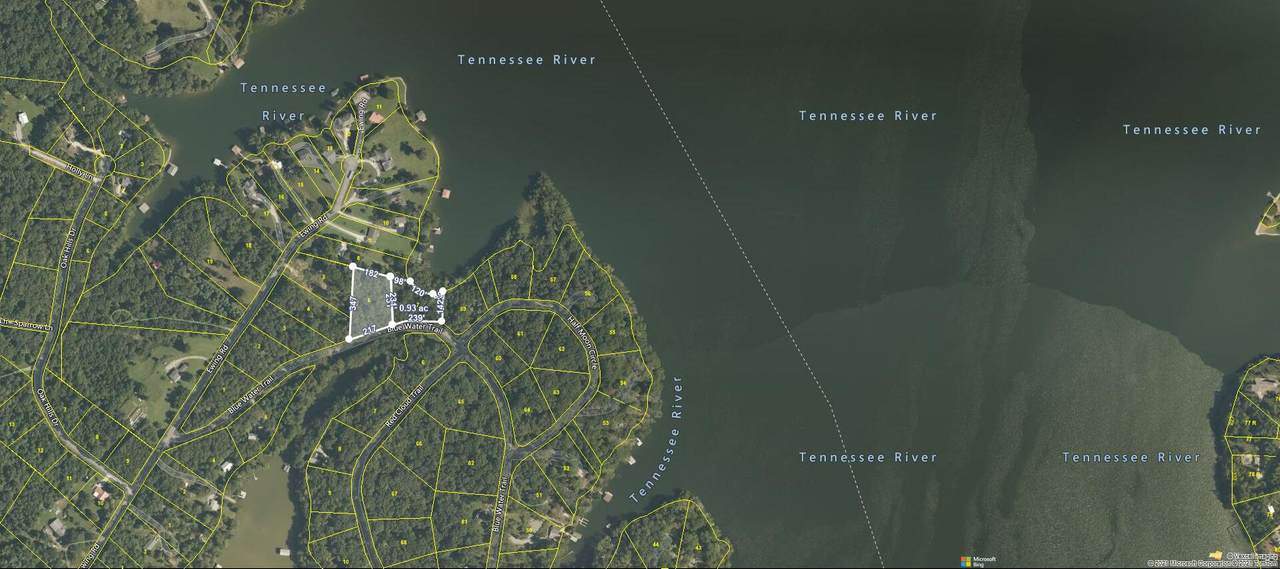 Lot 6 & & Blue Water Trail - Photo 1