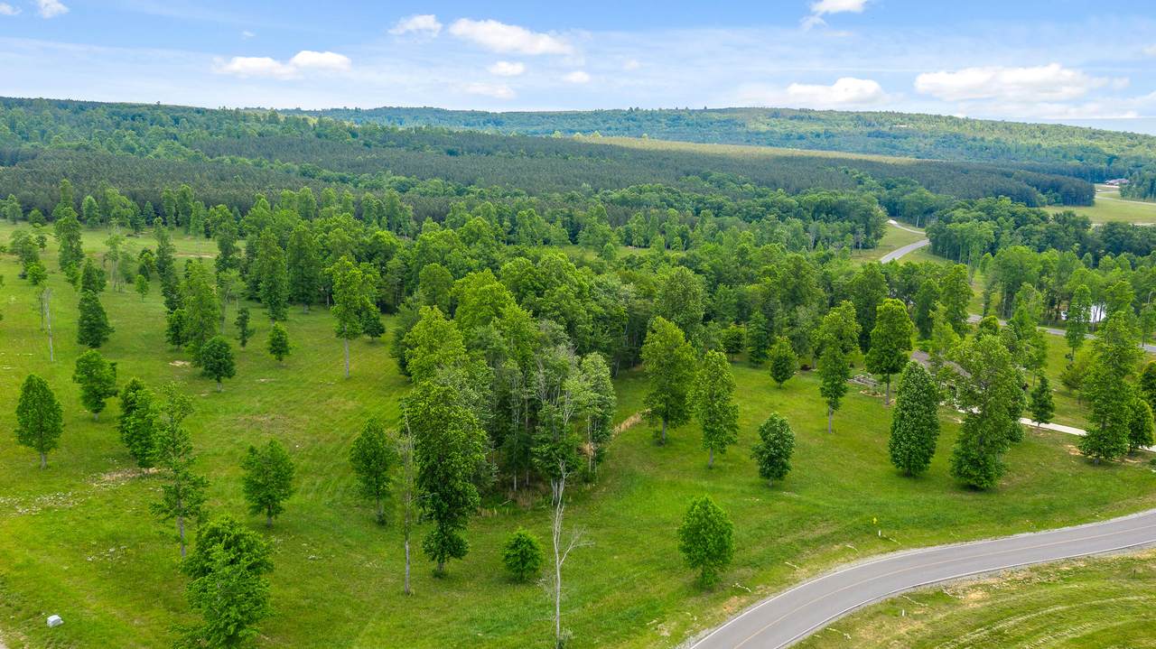 0 River Bluffs Dr - Photo 1