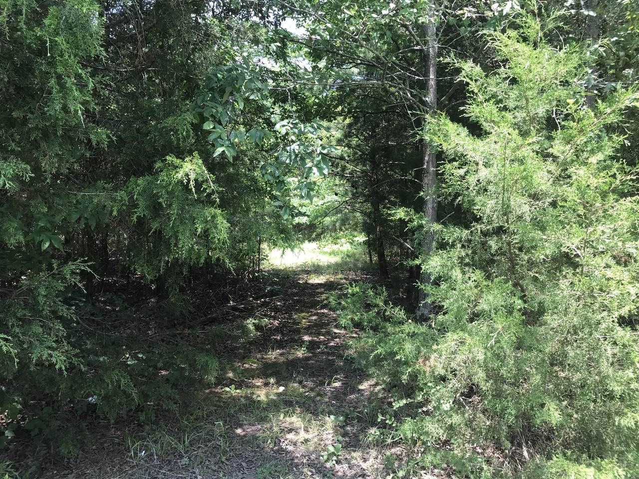 8075 Highway 156 - Photo 1
