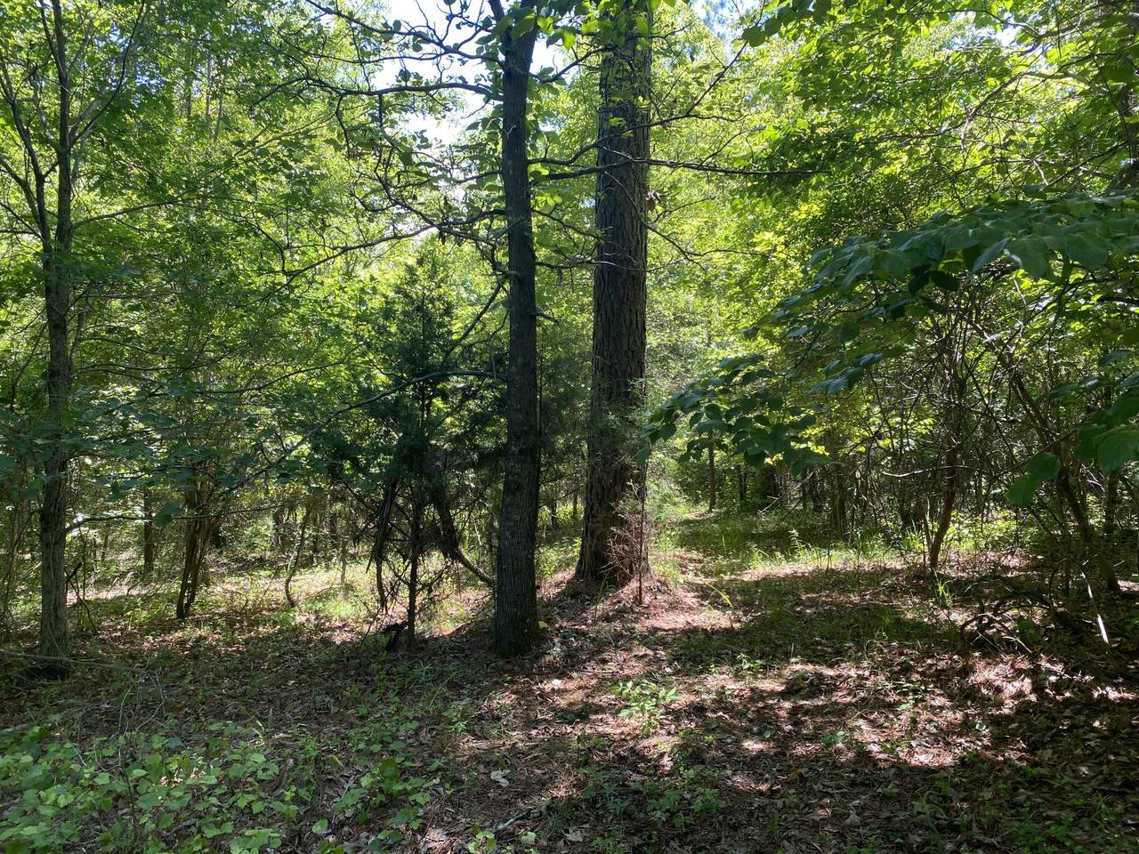 6 Eaglewood Ln - Photo 1