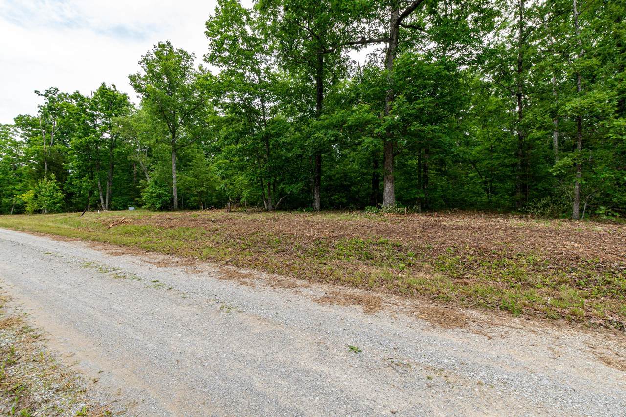 Lot 280 Gray Rock Vw - Photo 1