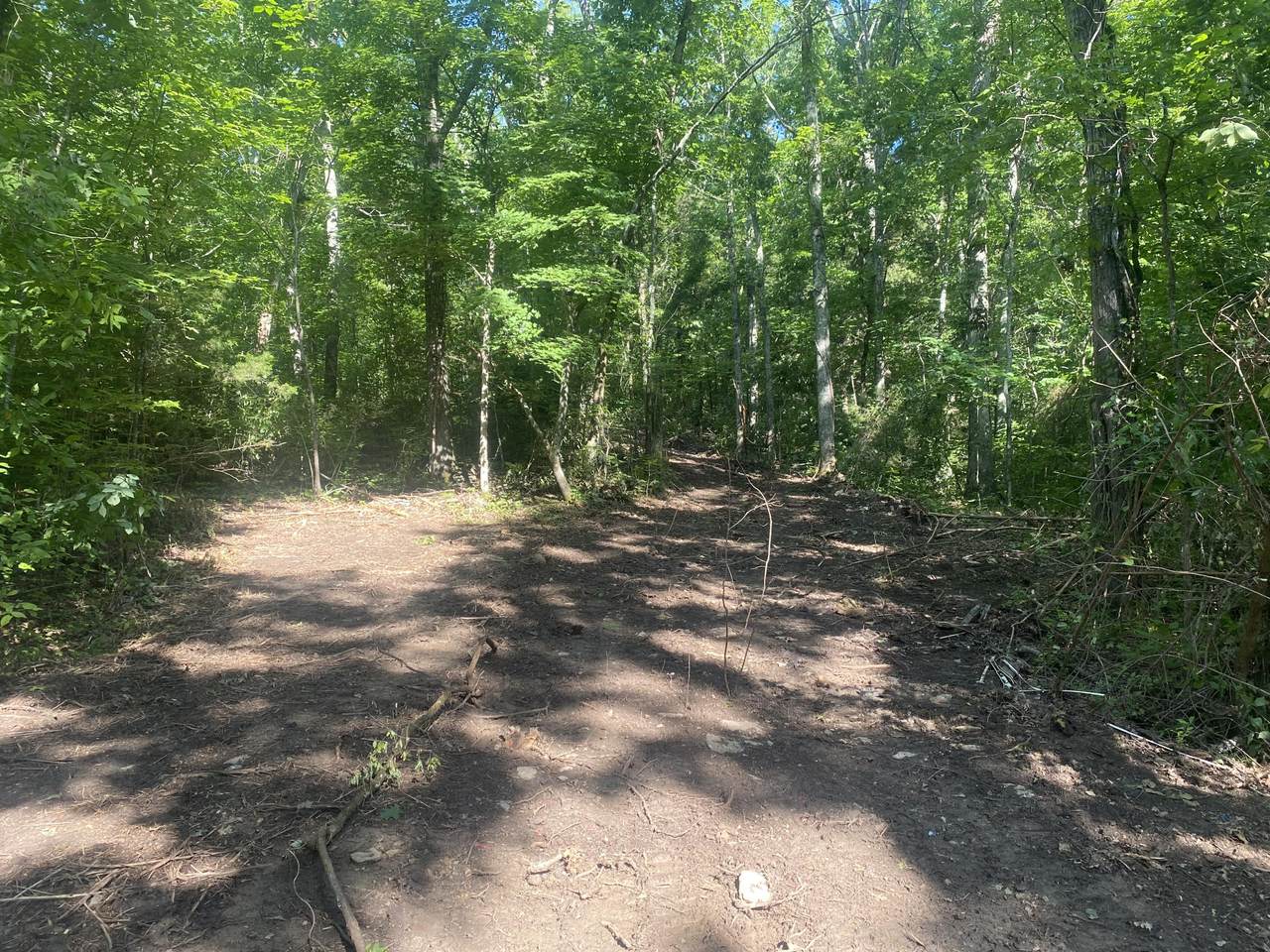 1650 Mckaig Rd - Photo 1