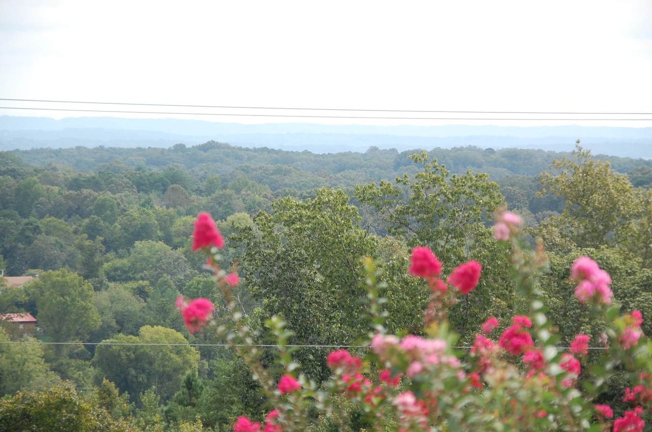 00 Cloudcrest Dr - Photo 1