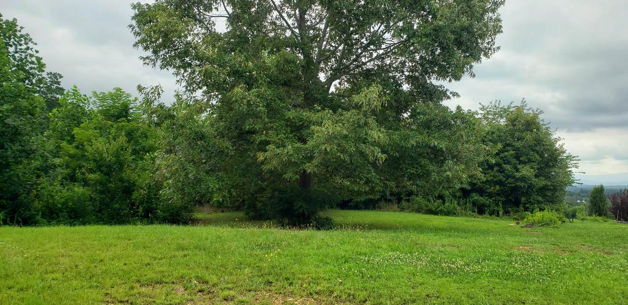 Lot 176 Burnt Hollow Trail Se - Photo 1