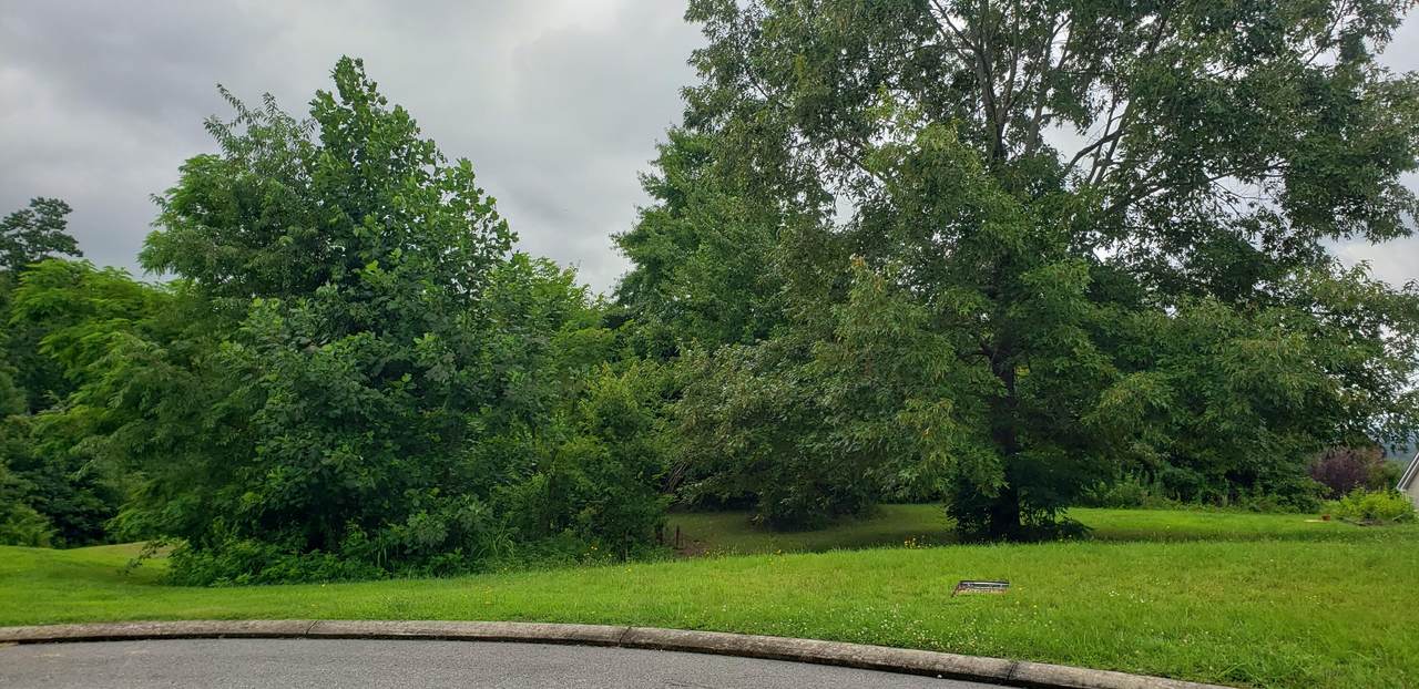 https://bt-photos.global.ssl.fastly.net/chattanooga/1280_boomver_1_1339529-2.jpg