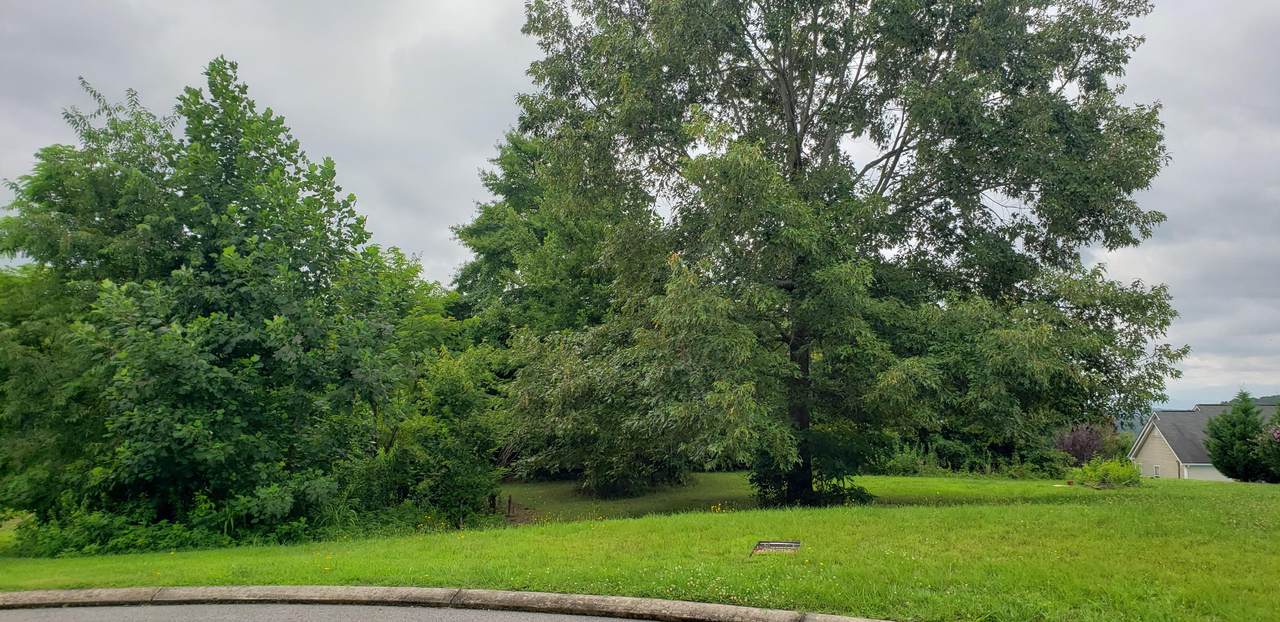 https://bt-photos.global.ssl.fastly.net/chattanooga/1280_boomver_1_1339529-2.jpg