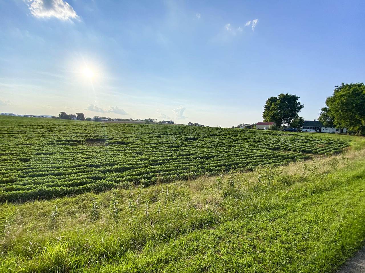 https://bt-photos.global.ssl.fastly.net/chattanooga/1280_boomver_1_1339763-2.jpg