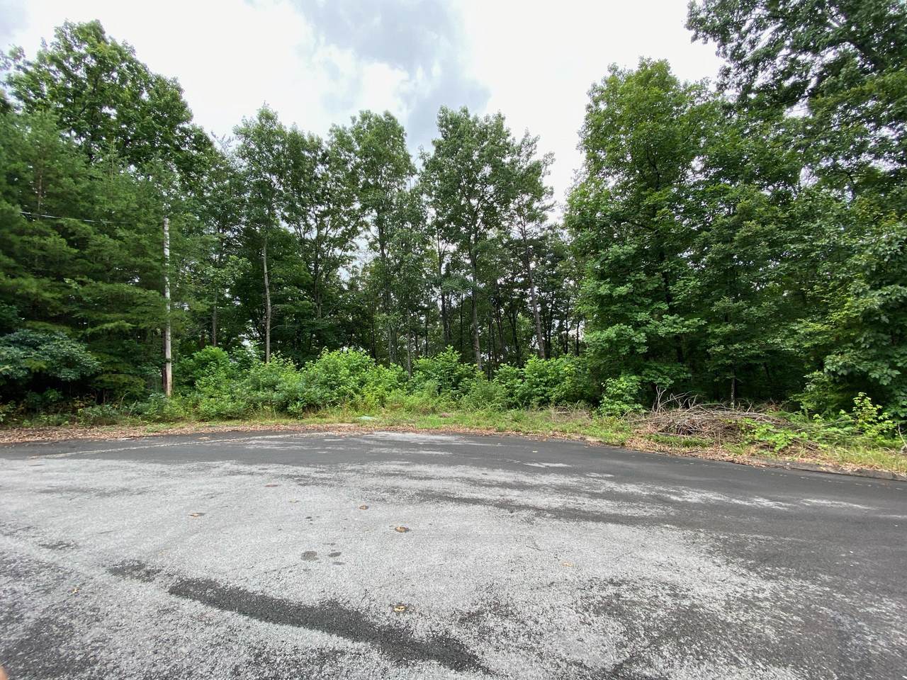 Lot 26 Highland Cir - Photo 1