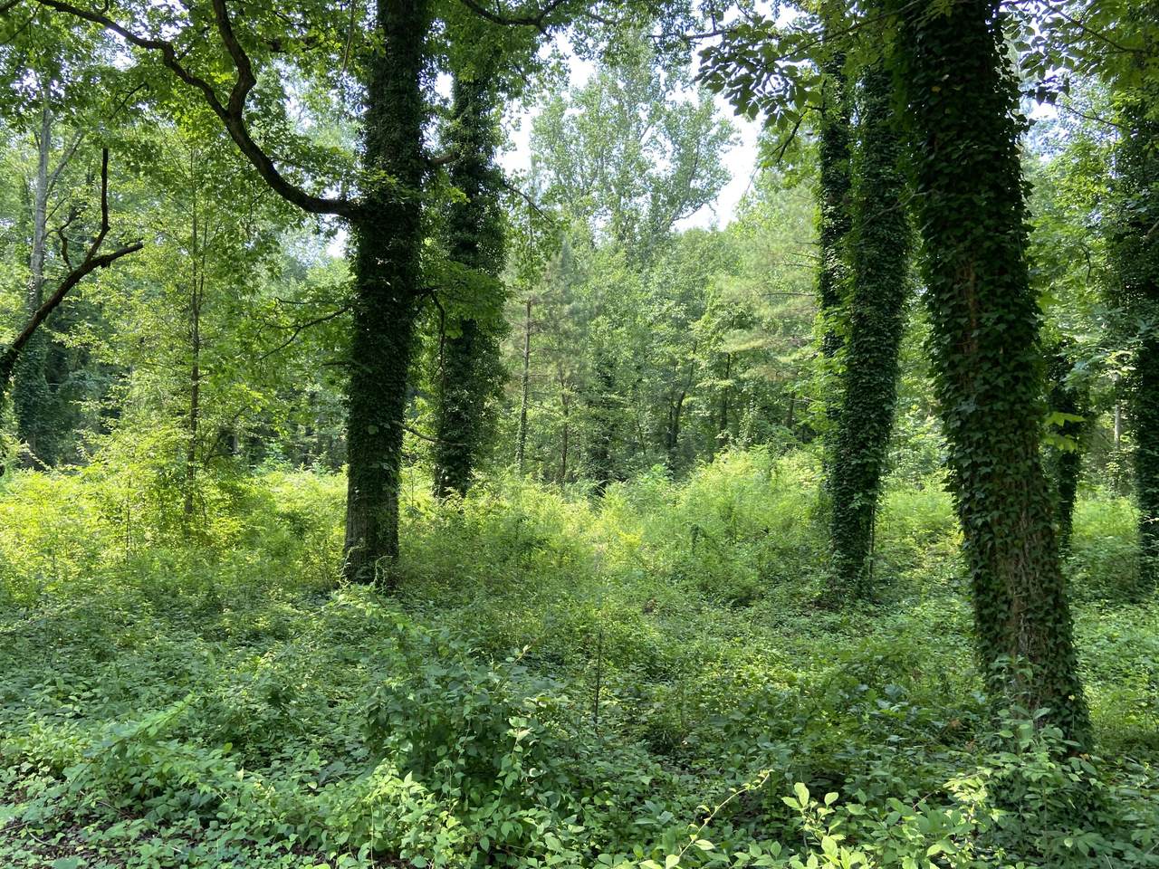 1520 Crabtree Rd - Photo 1