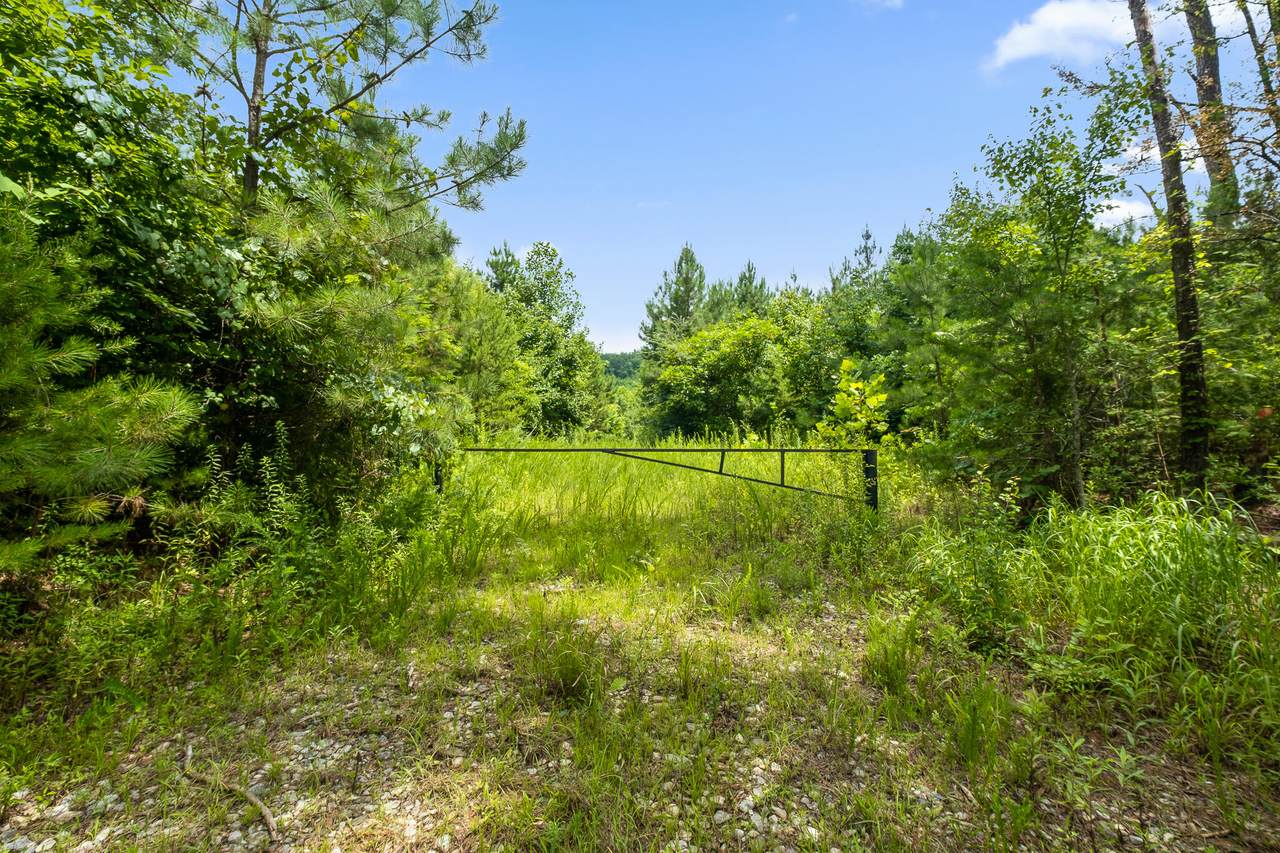 https://bt-photos.global.ssl.fastly.net/chattanooga/1280_boomver_2_1340107-2.jpg