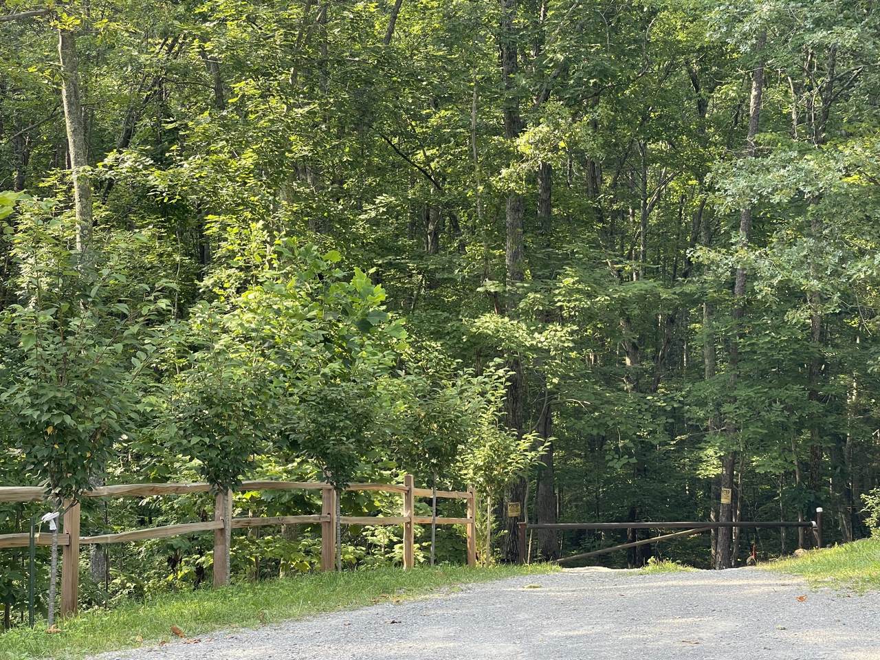 00 Big Springs Gap Rd - Photo 1