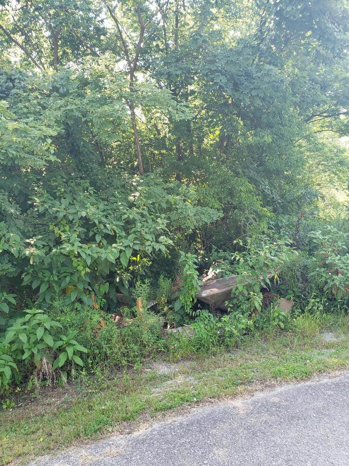 0 High Water Tr - Photo 1