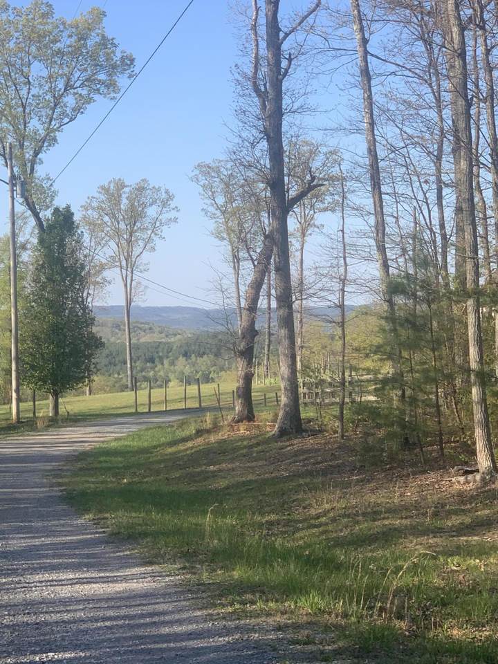 Tract 2 Brentwood Ln - Photo 1