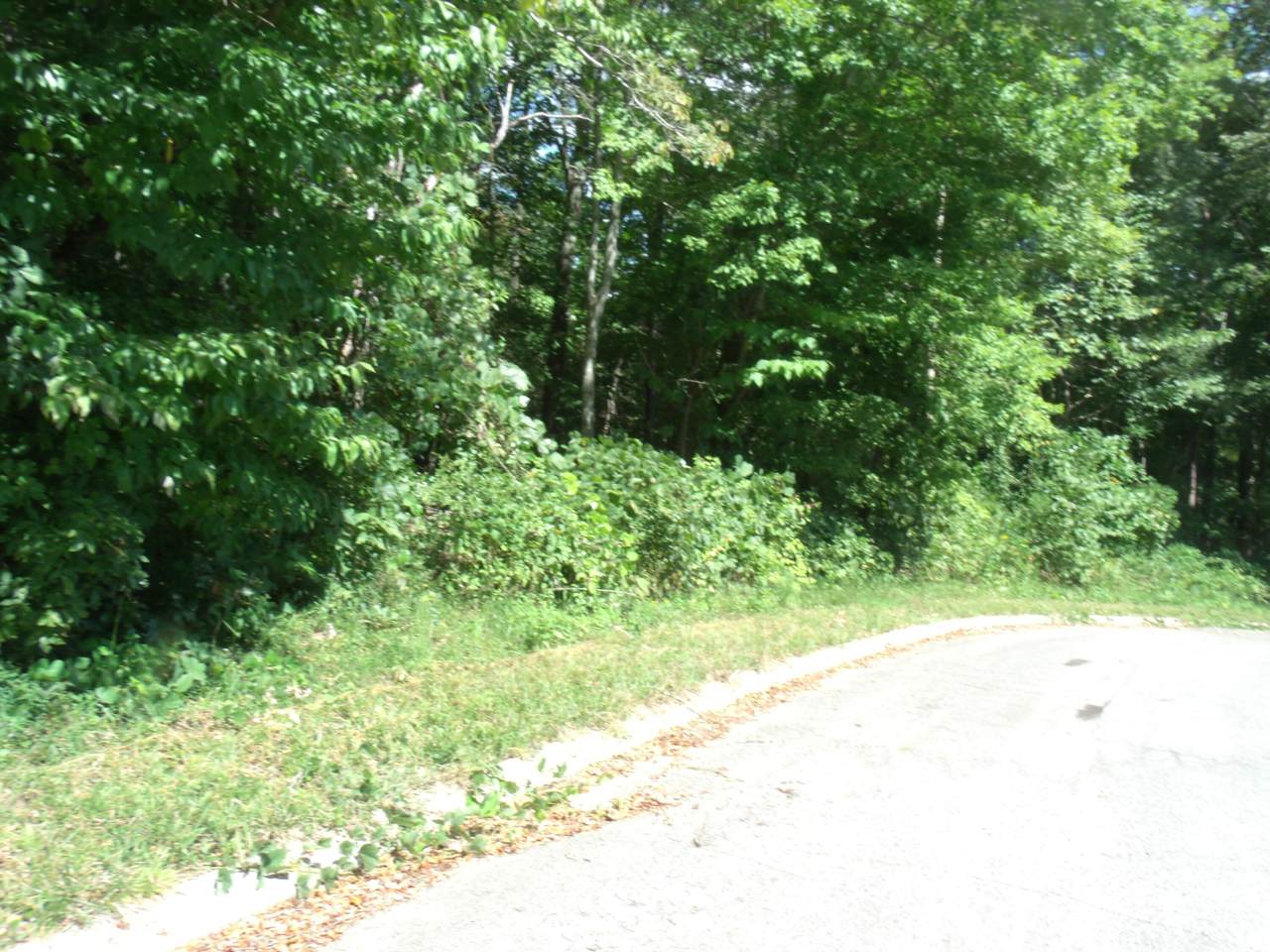 280 Timber Ridge Dr - Photo 1