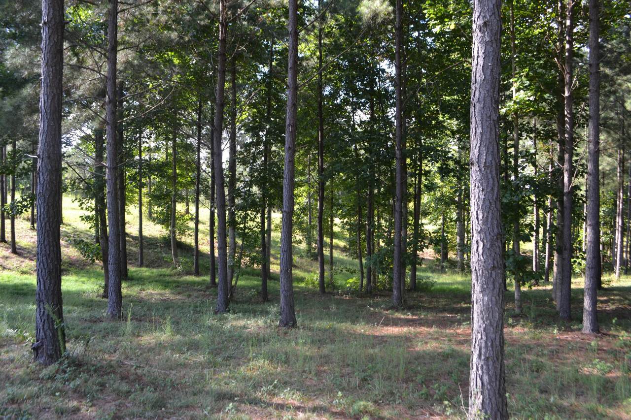 0 Pappy Rd - Photo 1