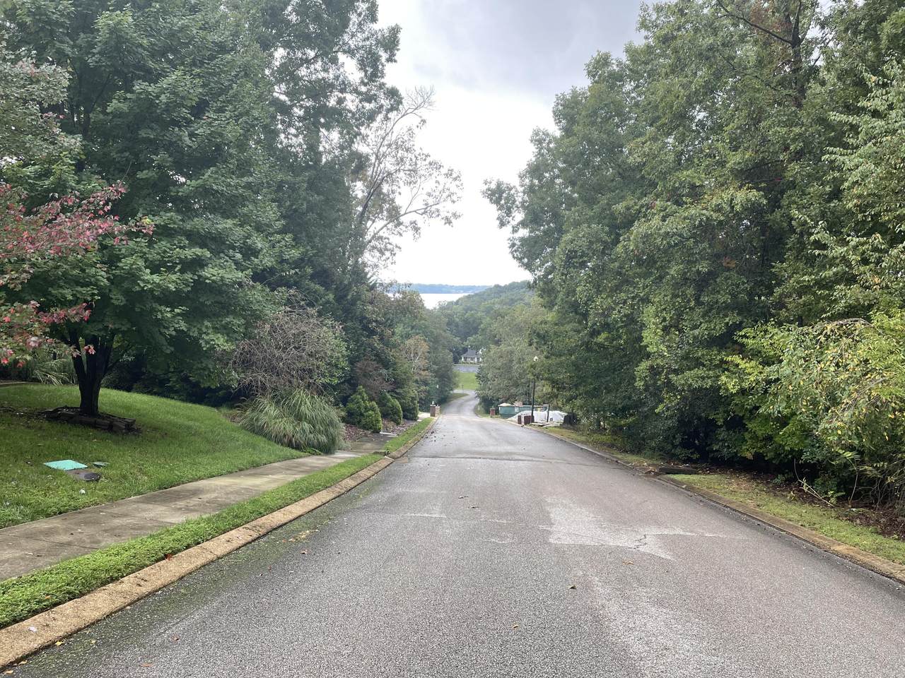 6505 Shelter Cove Drive Dr - Photo 1