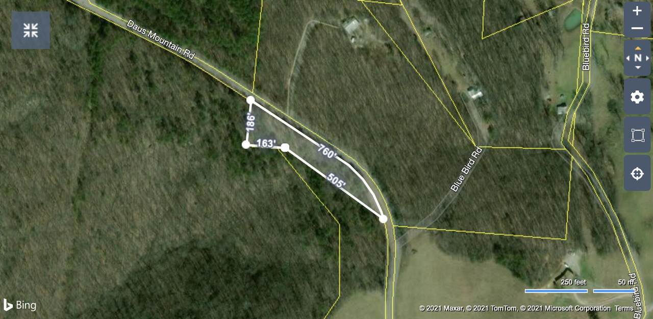 0 Daus Mountain Rd - Photo 1