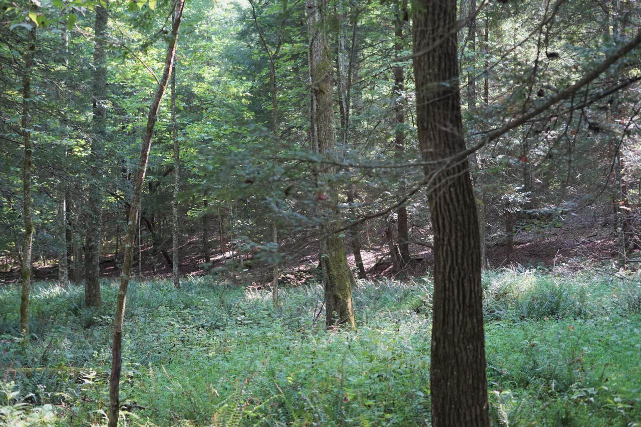 https://bt-photos.global.ssl.fastly.net/chattanooga/1280_boomver_1_1344639-2.jpg