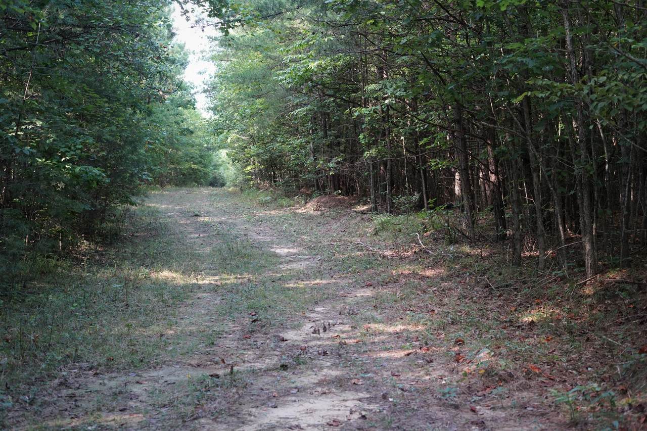 https://bt-photos.global.ssl.fastly.net/chattanooga/1280_boomver_1_1344639-2.jpg