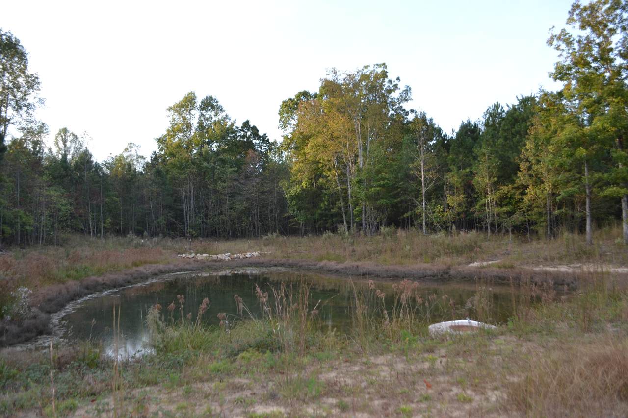 0 Raulston Falls Rd - Photo 1