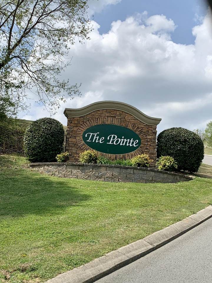 0 The Pointe Dr - Photo 1