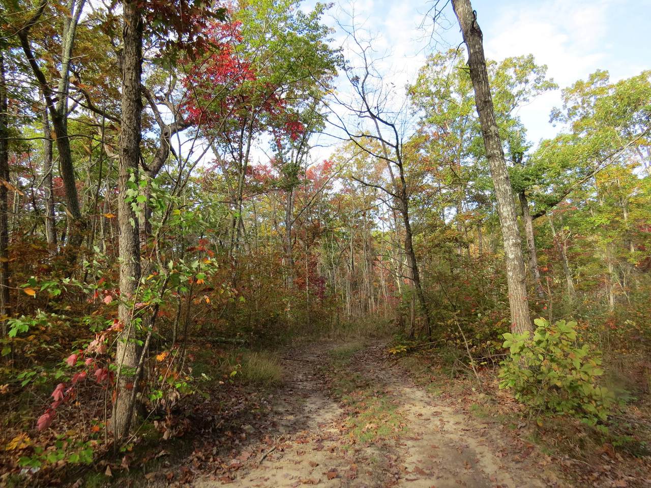 100 Bench Rd - Photo 1