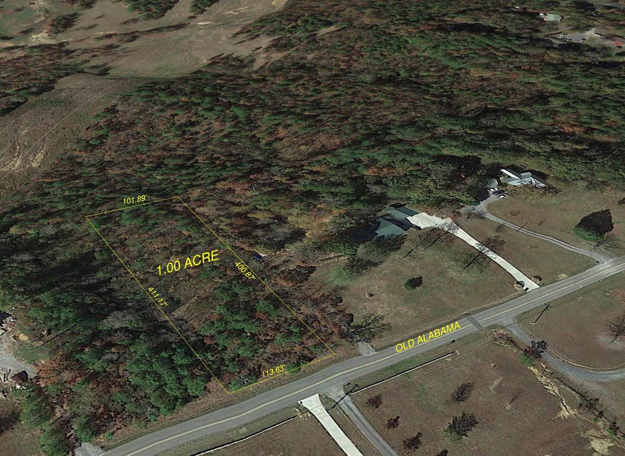 2056 Old Alabama Rd - Photo 1