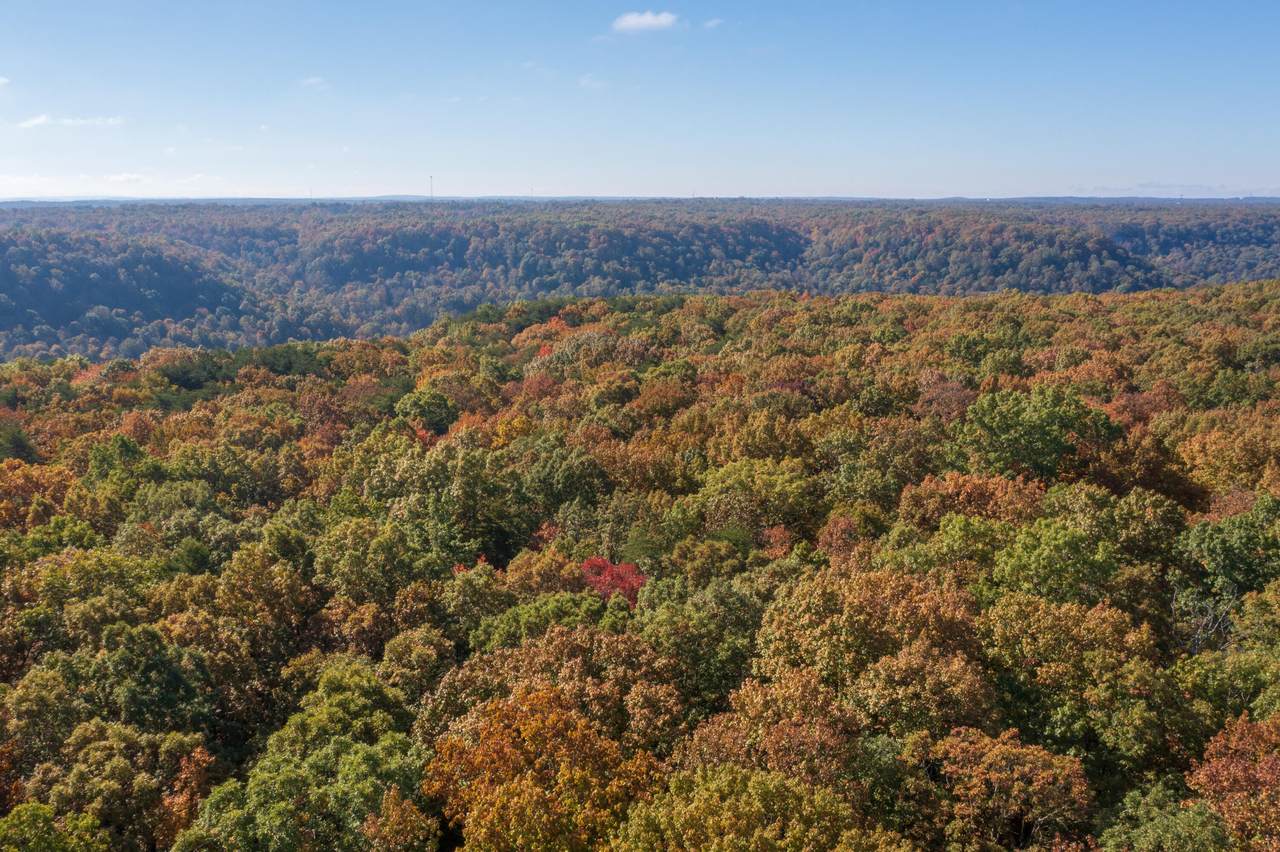 https://bt-photos.global.ssl.fastly.net/chattanooga/1280_boomver_1_1345737-2.jpg