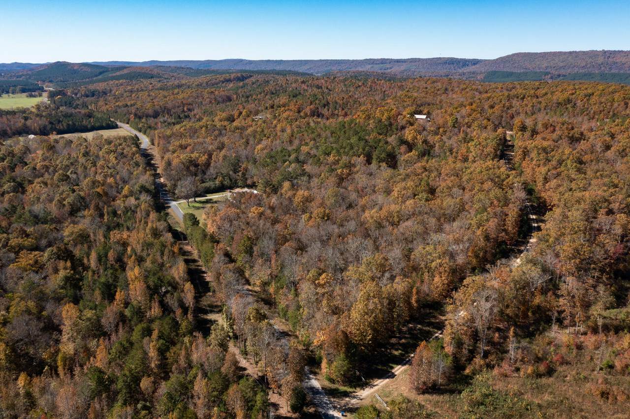 00 County Road 239 - Photo 1