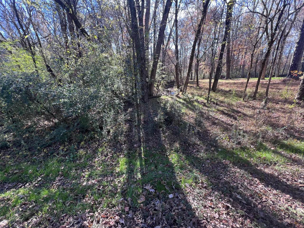 000 Robin Ln - Photo 1