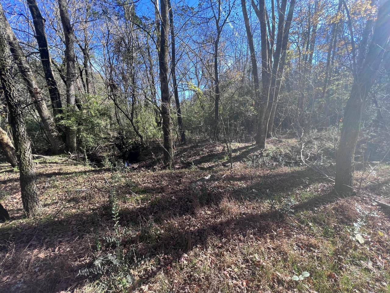 https://bt-photos.global.ssl.fastly.net/chattanooga/1280_boomver_1_1346261-2.jpg