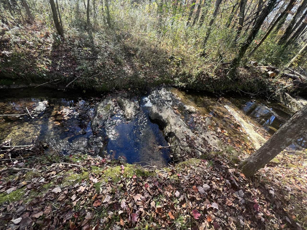 https://bt-photos.global.ssl.fastly.net/chattanooga/1280_boomver_1_1346261-2.jpg