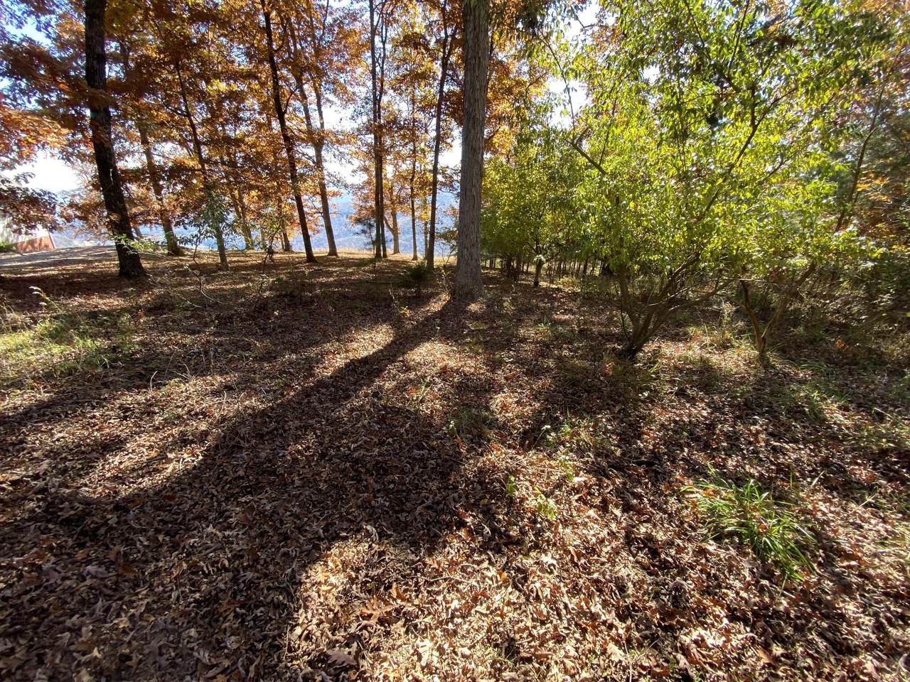 https://bt-photos.global.ssl.fastly.net/chattanooga/1280_boomver_1_1346366-2.jpg