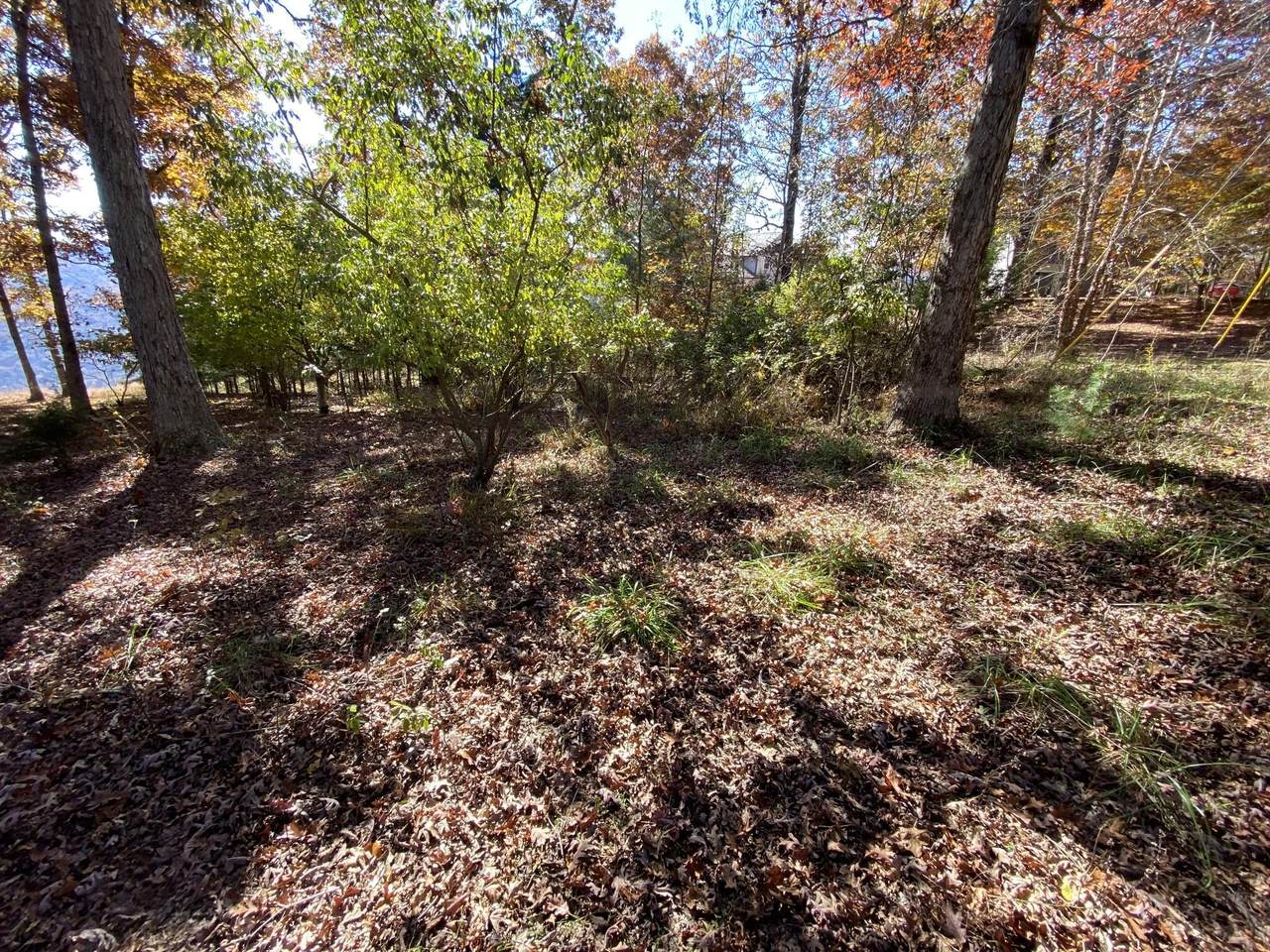 https://bt-photos.global.ssl.fastly.net/chattanooga/1280_boomver_1_1346366-2.jpg