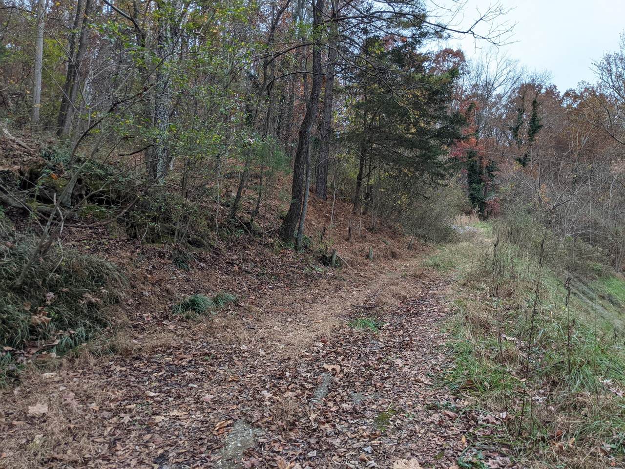 5115 Howardsville Rd - Photo 1