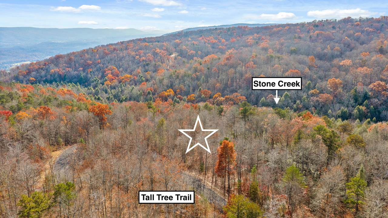 0 Tall Tree Tr - Photo 1