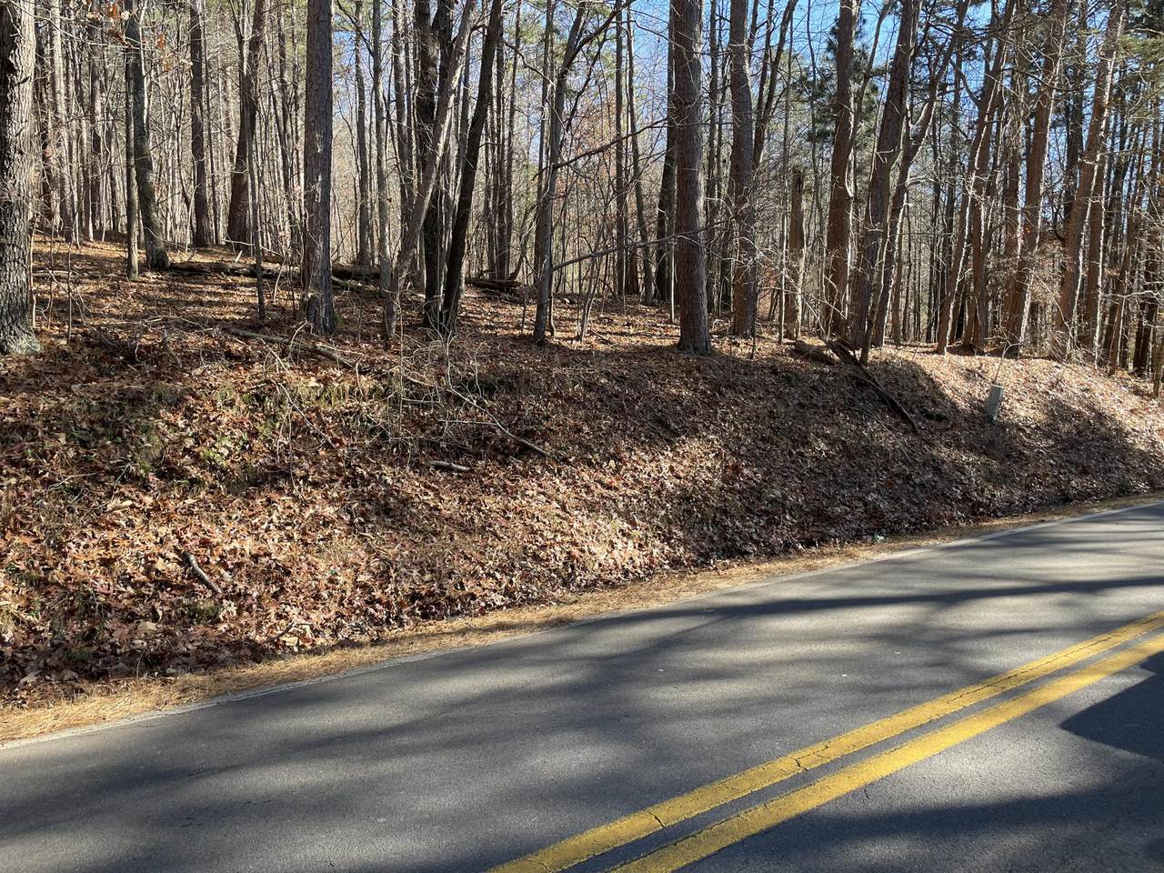 1600 Butler Dairy Rd - Photo 1