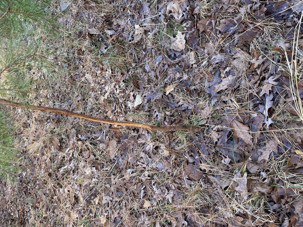 https://bt-photos.global.ssl.fastly.net/chattanooga/1280_boomver_1_1347312-2.jpg