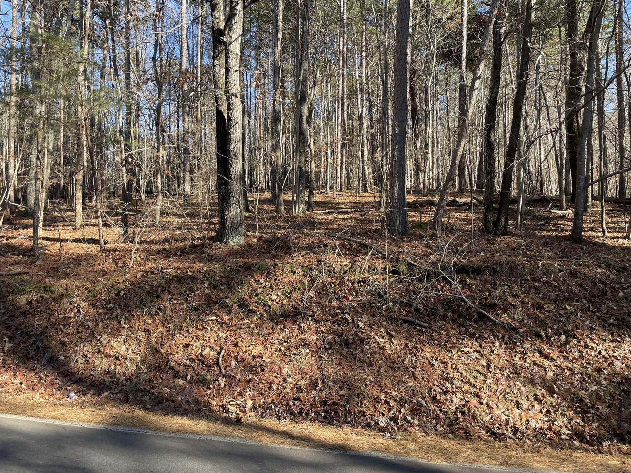 https://bt-photos.global.ssl.fastly.net/chattanooga/1280_boomver_1_1347312-2.jpg