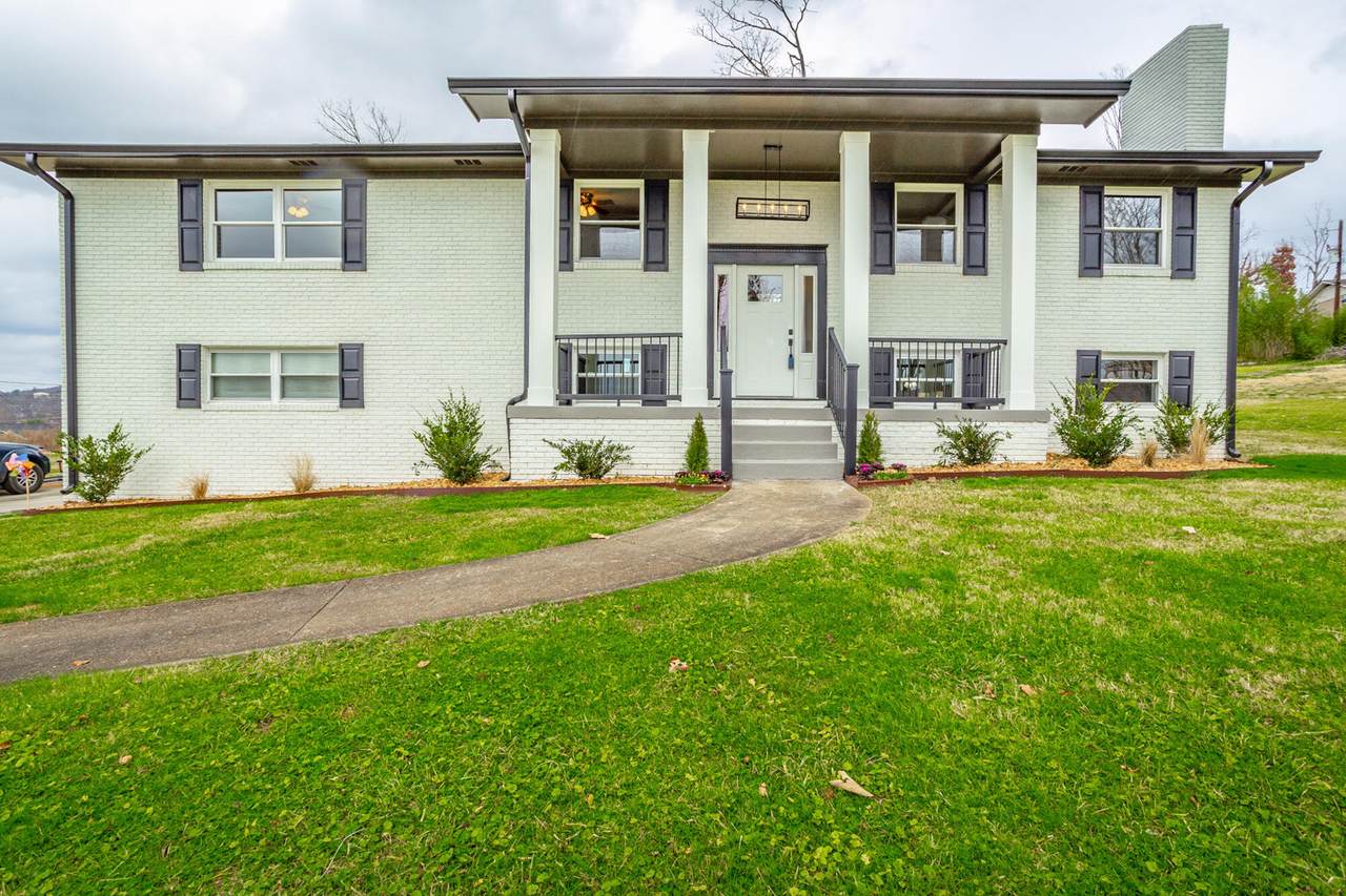 8107 Angie Dr - Photo 1