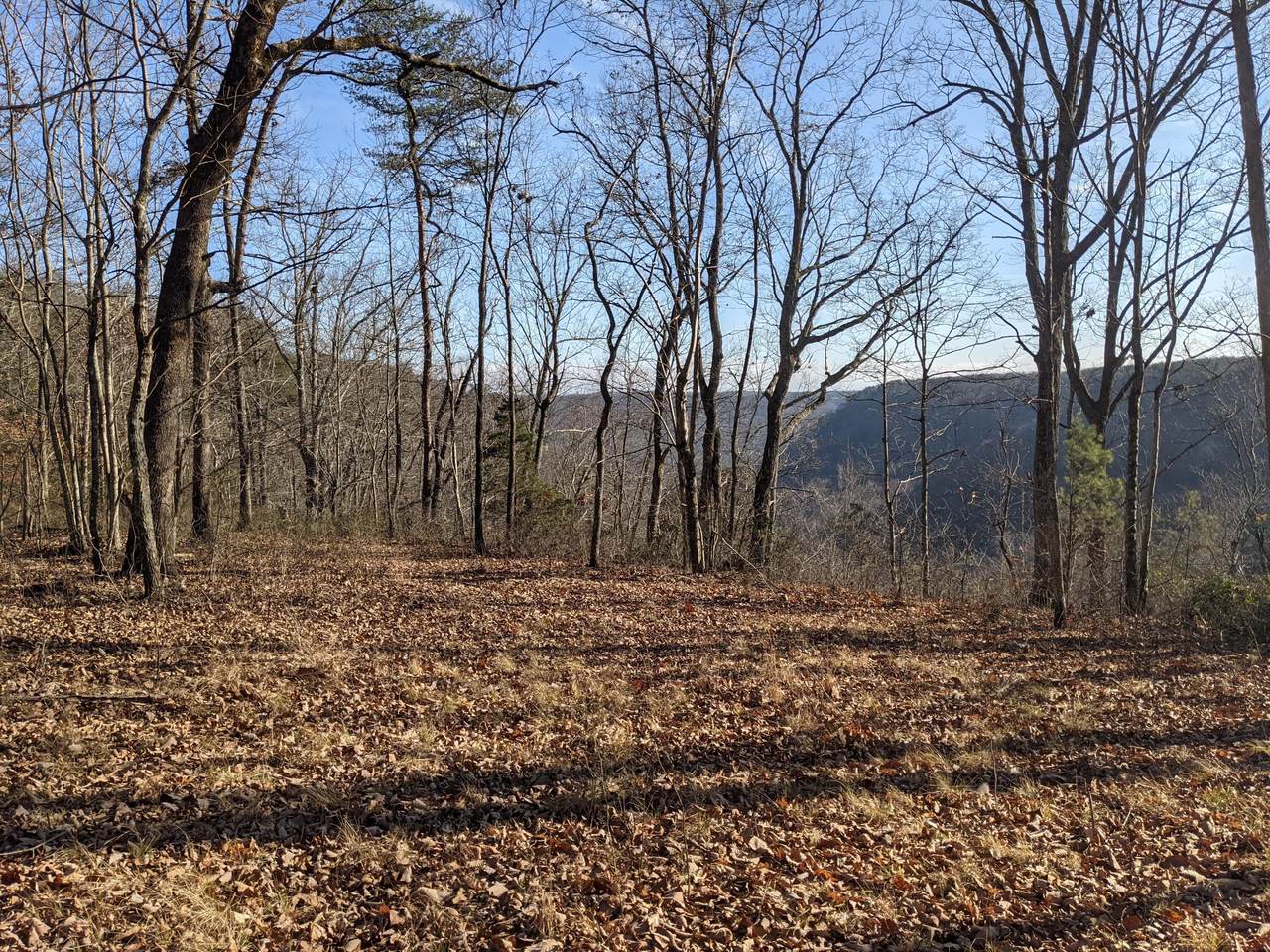 https://bt-photos.global.ssl.fastly.net/chattanooga/1280_boomver_1_1347927-2.jpg